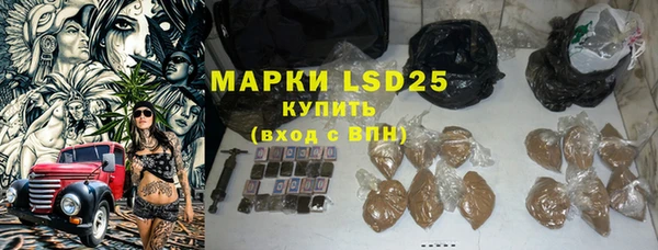 прущий лед Алзамай